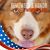 Lisa Schrader's profile image