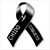 Guillermo Roman's profile image