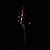 Vic Niceley's profile image
