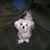 Teresa Siess Lederer's profile image