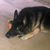 Lori Harris Vander Clay's profile image