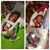 Chris N Sara Brummett's profile image
