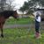 Jean Batchelder Overton's profile image