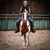 Shaune Horan's profile image