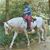 Linda Thompson's profile image