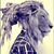 Chuy Briceno's profile image