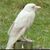 Janet Jones's profile image