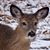 Cathy Bishop Jones's profile image