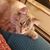 Maxx Follis-Goodkind's profile image