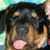 Marco Garcia's profile image