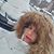 Marcela Dicar's profile image