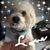Dee Favro's profile image
