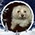 Kelly Norton's profile image