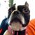 Cricket Hudson's profile image