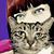 Gina DeRenzis's profile image