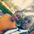 Bahigwa Jessy Ikie's profile image