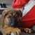 Sarah V. Biehl's profile image