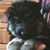 Lori Stackewich's profile image