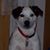 Mary Toney's profile image