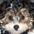 Mary Wise Lentine's profile image