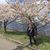 Tami Sharot's profile image