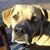 Diane Chrapliwy Lybbert's profile image