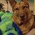 Nancy Letsche Thompson's profile image