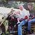 Wallace Ouellette's profile image