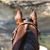 Kimberly Ann's profile image