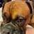 Keith Ruffner's profile image
