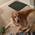 Lynn Chavis's profile image