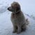 Jim Bemister's profile image