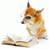 Debra Jackson's profile image