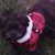 Arleen Lennon Leake's profile image