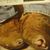 Ursula Gumns's profile image