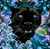 Rexanne Pasquale's profile image
