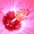 Mark C Ingenito's profile image