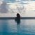 Yoli Buendia Barrientos's profile image