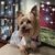 Faith Ferrell Rutter's profile image