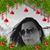 Michelle Puma's profile image
