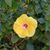 Patty Page's profile image