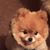 Sue Weiler's profile image