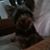 Patricia Clarich's profile image
