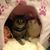 Susan Snyder's profile image
