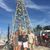Kathy Maher Petersen's profile image
