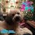 Tricia McNulty Spadola's profile image