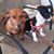 Christine Brown's profile image
