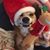 Rick Mantilla's profile image