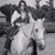 Susan Comstock Friis's profile image