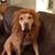 Troy Reynard's profile image